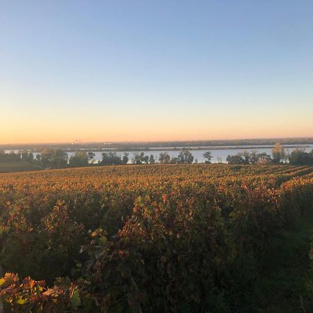 Bed and Breakfast Chez Marielle Prignac-et-Marcamps Exterior foto